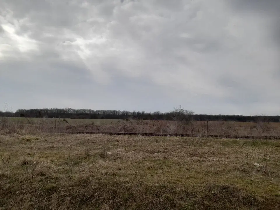 Oportunitate Investițională: Teren 14 Ha Moara Vlăsiei, Ilfov - Acces Rapid A3, Priveliște Natură - imaginea 2